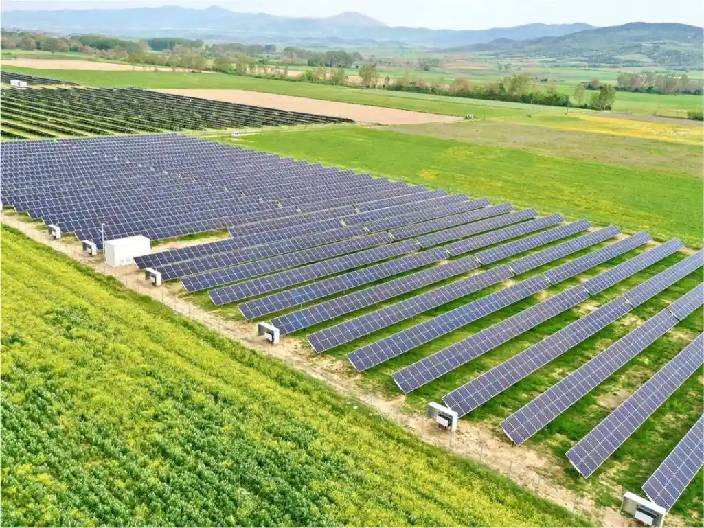 solar panels in green field