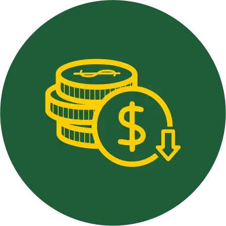 reduce cost icon